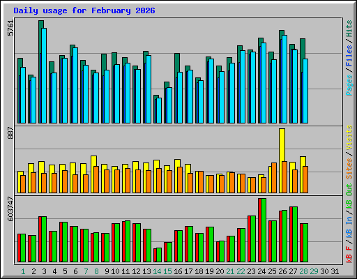 Daily usage for February 2026
