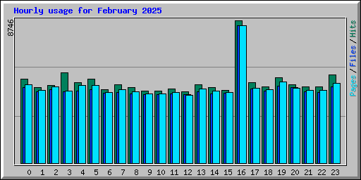 Hourly usage for February 2025