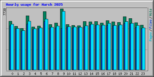 Hourly usage for March 2025