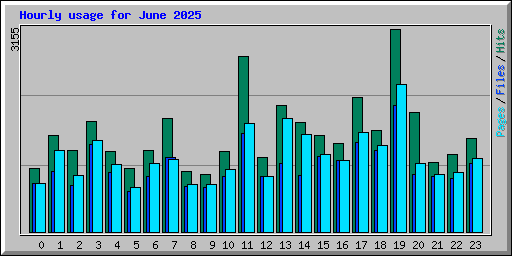 Hourly usage for June 2025