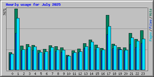 Hourly usage for July 2025