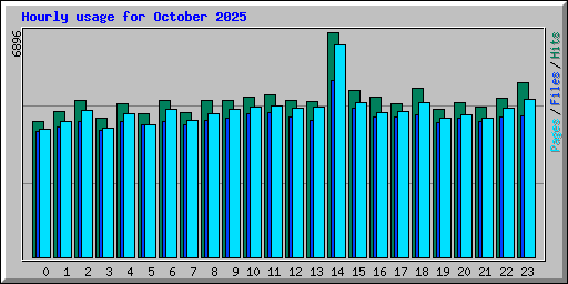 Hourly usage for October 2025