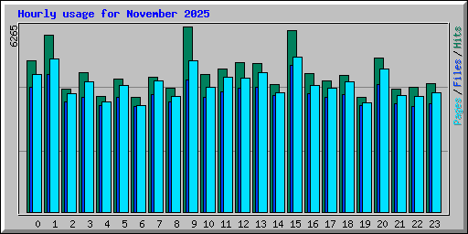 Hourly usage for November 2025