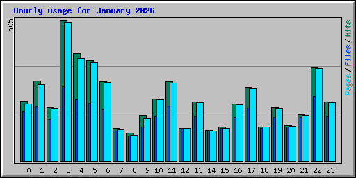 Hourly usage for January 2026