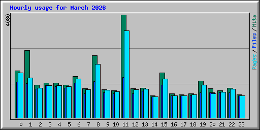 Hourly usage for March 2026